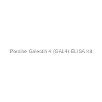 Porcine Galectin 4 (GAL4) ELISA Kit